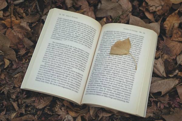 英語参考書に関するQ&A