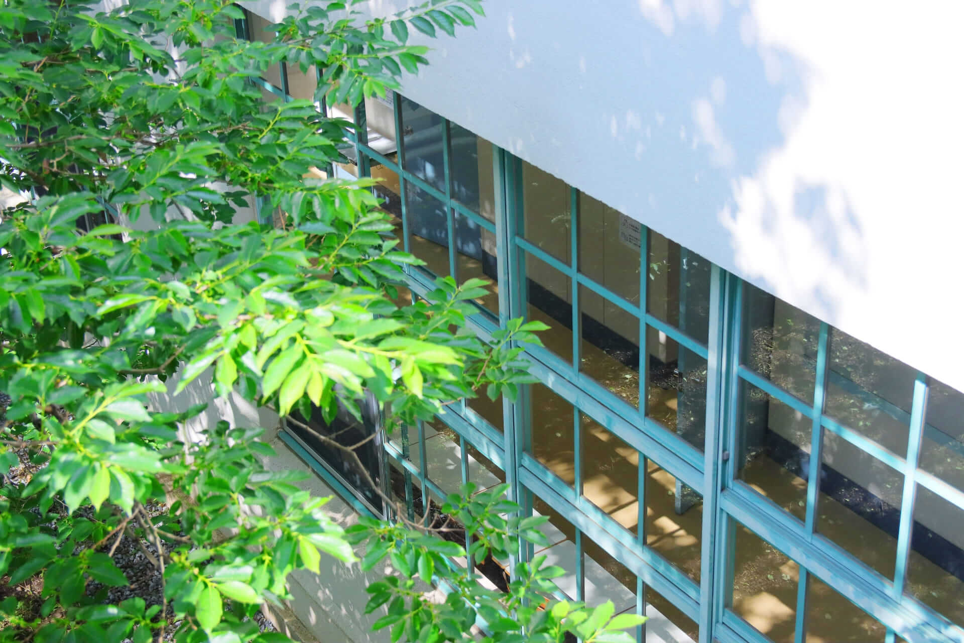 「塾で定期テスト対策をしない」という選択肢