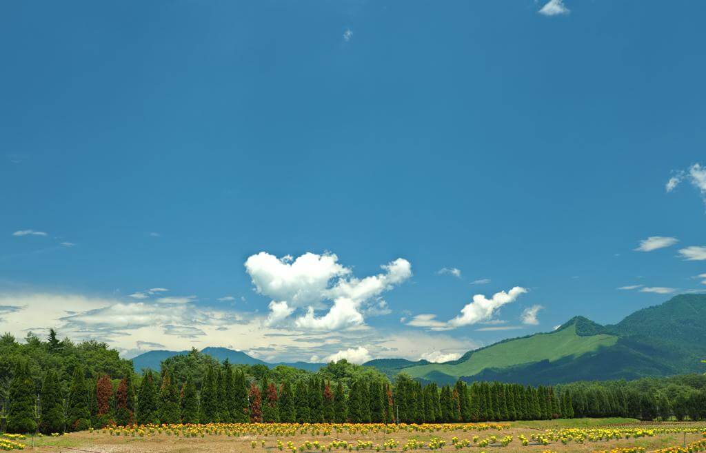 2022年の駒澤大学のオープンキャンパス日程｜駒澤キャンパス