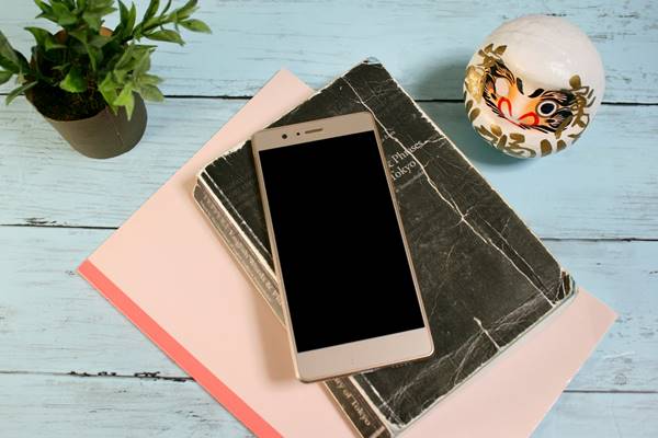 同志社の模試結果を活かす方法