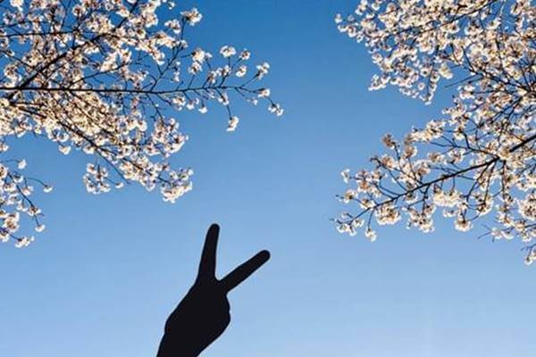 総合型選抜（旧AO入試）に受かる人・落ちる人の特徴