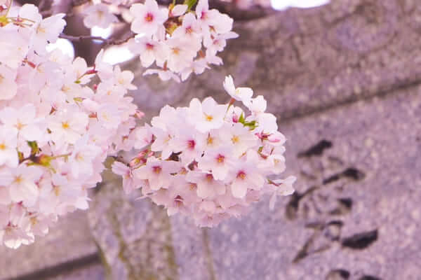 高槻にある学習塾・予備校の人気ベスト３