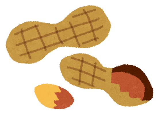 イロモノ単語帳？英単語ピーナツほどおいしいものはない