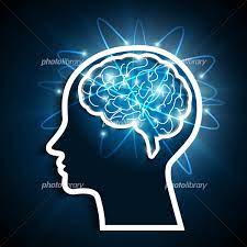 勉強×人間の脳